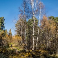 Пейзаж :: SanSan 