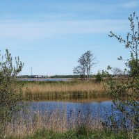 Весенний пейзаж :: Рита Симонова