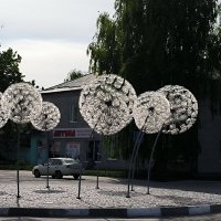 Стародуб. Одуванчики. :: Ольга 