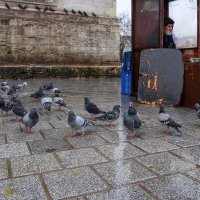 Стамбул :: skijumper Иванов