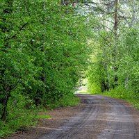 А за поворотом ЛЕТО :: Татьяна Лютаева