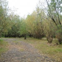 Осень не за горами :: Anna Ivanova Осень не за горами :: Anna Ivanova