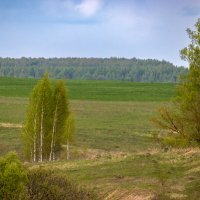 Весенний пейзаж :: Sergei Vikulov