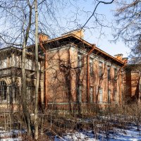 Жизнь на природе :: Евгений 