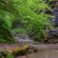 Ручей в горах. Адыгея :: Игорь Сикорский