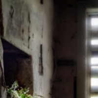 Жизнь и ... :: sorovey Sol Жизнь и ... :: sorovey Sol