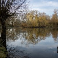 *** :: Николай Гирш