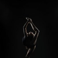 *** :: Владимир 