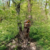 Прогулки вокруг железной горы (терренкур) :: Виктор 