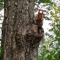 А ей и здесь хорошо! :: Виктор А ей и здесь хорошо! :: Виктор