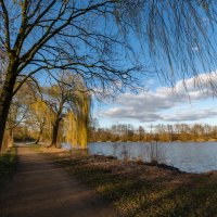 *** :: Николай Гирш