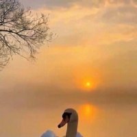 Вспомнилось: "Выткался на озере алый свет зари" :: Ирэн 