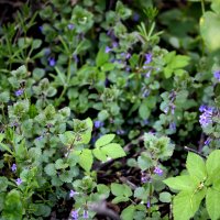 Заставка на рабочий стол :: Николай (dr.Zlo) Кузнецов Заставка на рабочий стол :: Николай (dr.Zlo) Кузнецов