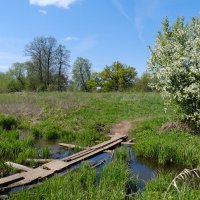 Мостки :: Андрей Зайцев