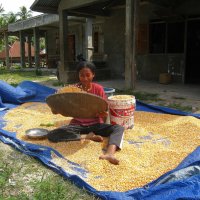 Девушка с кукурузой (2 часть). :: unix (Илья Утропов)