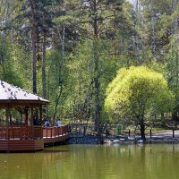 Озеро Лебединое :: Татьяна Лютаева Озеро Лебединое :: Татьяна Лютаева