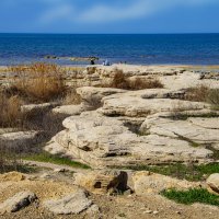 Берег :: Анатолий Чикчирный