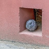 Взгрустнулось :: Валерий Иванович Взгрустнулось :: Валерий Иванович