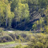 Природа :: Sergei Vikulov