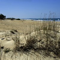 Дикий пляж :: Эмиль 