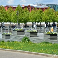 Фонтаны. :: Наталья Вязигина