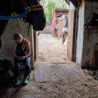 *** :: Валерий Михмель *** :: Валерий Михмель