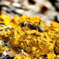 — :: Светлана 13.06.