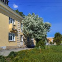 Уже рукой подать до лета :: Дмитрий Костоусов Уже рукой подать до лета :: Дмитрий Костоусов