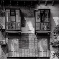 Non-vexillum :: Андрей Жданов