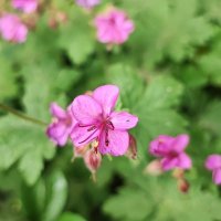 ,,, :: Сергей Тимоновский ,,, :: Сергей Тимоновский