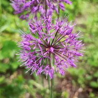 ,,, :: Сергей Тимоновский