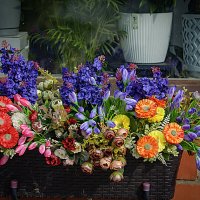 Фотозарисовка :: Владимир Кроливец