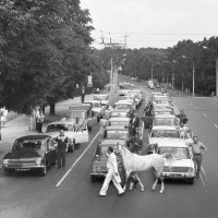 ЭМИЛЬ КИО И БЕЛАЯ ЛОШАДЬ :: Юрий Иванов ЭМИЛЬ КИО И БЕЛАЯ ЛОШАДЬ :: Юрий Иванов