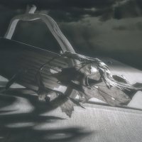 Деревянная ваза. :: Владимир Владимир Деревянная ваза. :: Владимир Владимир