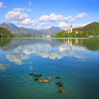 Озеро Блед :: Сергей Титов Озеро Блед :: Сергей Титов