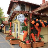 Курортный проспект :: Ольга Курортный проспект :: Ольга