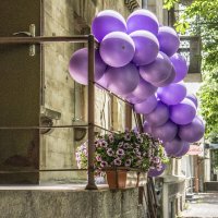 Гроздь синтетического винограда опутавшая перила & наступающее лето :: Коля Лукашов