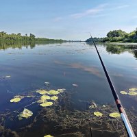 Обязательно клюнет! :: Валерий Судачок Обязательно клюнет! :: Валерий Судачок