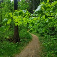 * * * :: Андрей Лукьянов