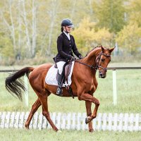 Выездка :: SanSan 