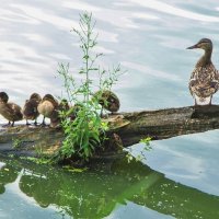 3820 :: Alex . 3820 :: Alex .