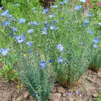 ,,, :: Сергей Тимоновский