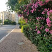 " :: Светлана Хращевская