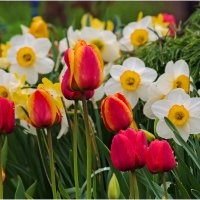 Просто майский дождь прошёл... :: Валентин Котляров