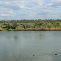 Весна на Дону. :: Виктор 