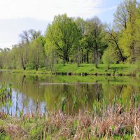 Озеро :: Евгений Корьевщиков