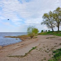 Пешком по Кронштадту. :: Лия ☼ Пешком по Кронштадту. :: Лия ☼