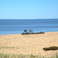 Солнечный день на Финском заливе :: Танзиля Завьялова