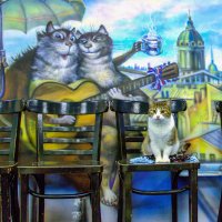 Боюсь,  загулял опять мой Васька! :: Игорь Викторов