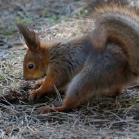 ...кладовая... :: Andrey Bragin 